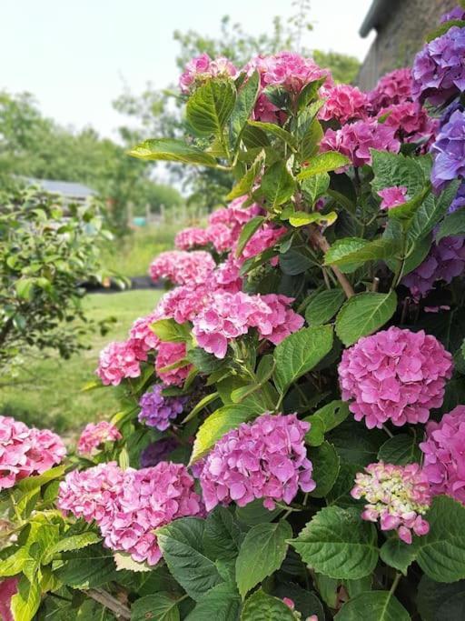 Gite De La Paludiere Assérac 外观 照片
